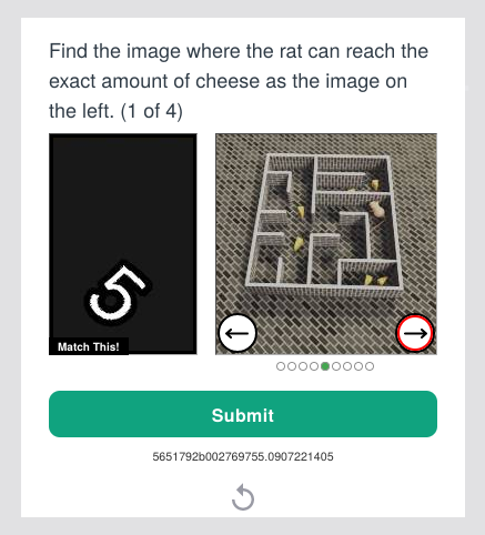 justdimaa's tweet photo. @OpenAI mf really??? https://t.co/mNbEhmYnq6