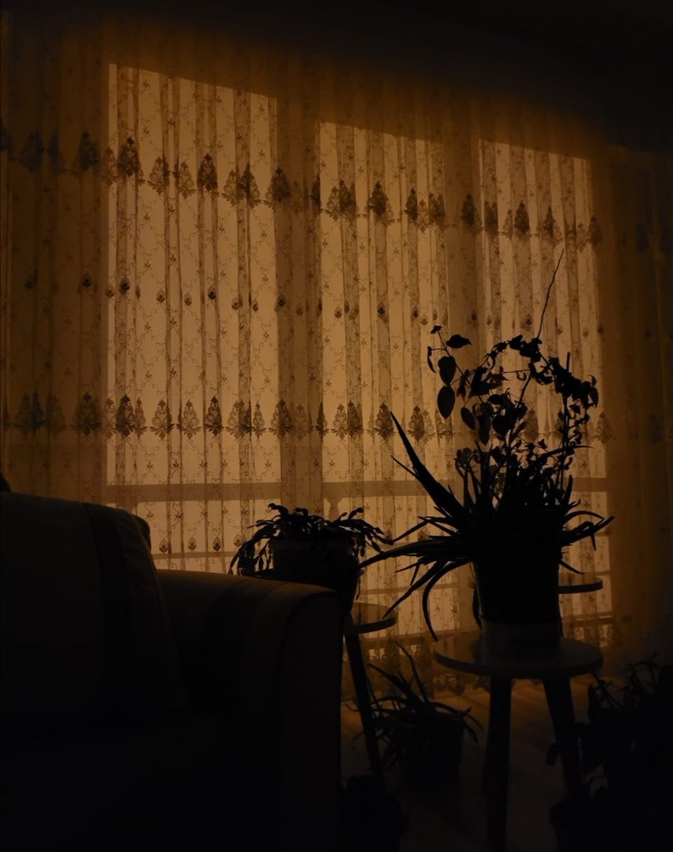 Kımıldanır mahallemin daralan ruhu
Basma perdelerimde gün batarken
Atıp saatler süren uykusunu
Odama uzanır akasyam pencereden
Kırmızı uzak damlarda bir serinleme
Uyanır gündüz uykusundan evler
... 
| Orhan Veli, Mahallemdeki Akşamlar