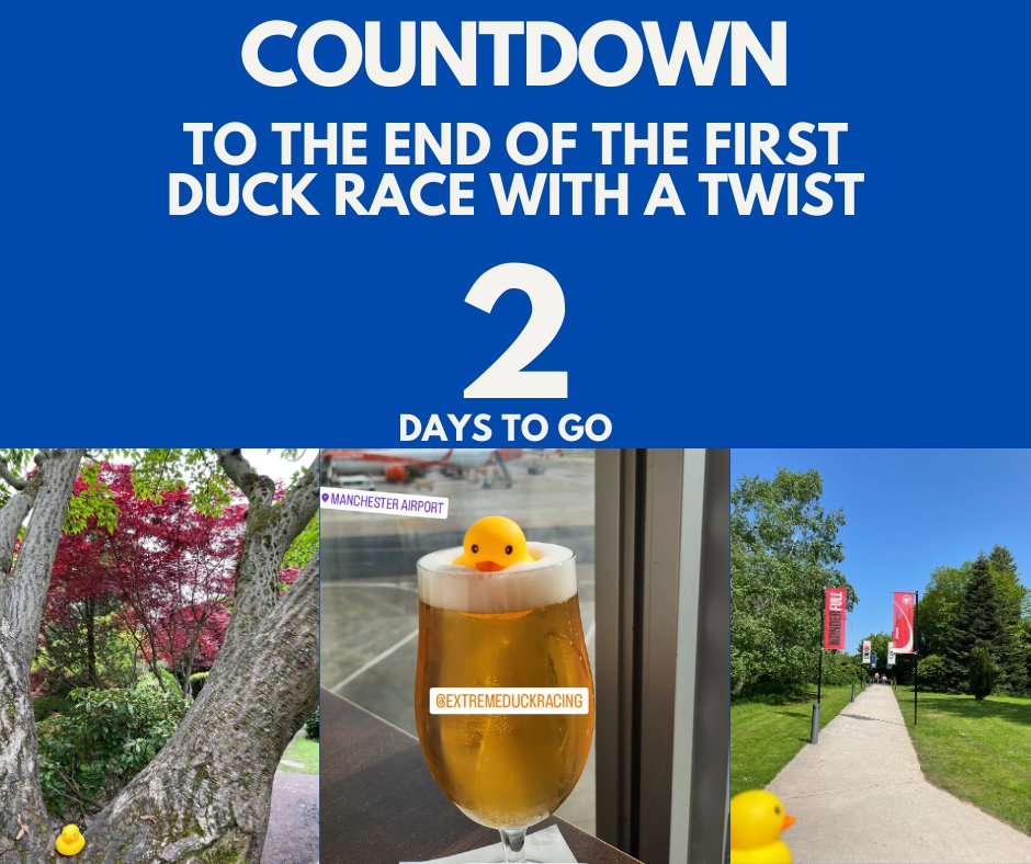 Who will Win - I think we already know!!
@stevenbartlett <a href="/ILoveMCR/">I Love Manchester</a> <a href="/TheGuideLpool/">The Guide Liverpool 🌇🌃</a> 
#duckracing #ducks