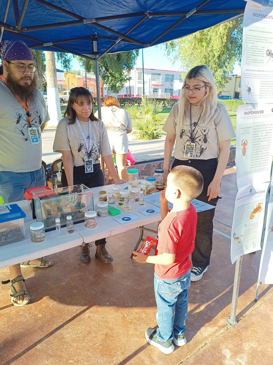 AlexaColorado19's tweet photo. El club de artrópodos de la UES y @NaturalmenteDiv andaban por Moctezuma, en el 2do. Festival de las Islas del Cielo de Sky Island Alliance 🙊 https://t.co/HffjldfQRq