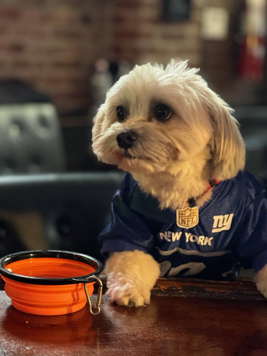 thealehouse1034's tweet photo. Fill this with whiskey and leave the bottle. I'm sick of BS losses!
11th & Willow
#Hoboken
#dogfriendly🐕 #freepool🎱 #shuffleboard🥌 #darts🎯 #trivianight🤓 #popcorn🍿#dogsofinstagram🐕🦺 #dogsofhoboken🐶 #dogsinbars🐾 https://t.co/jgtQrmIiJ0