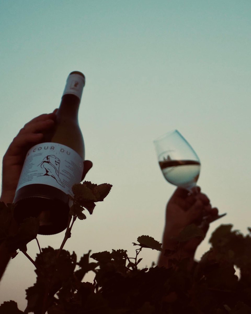 L’heure s’ouvrir une bouteille de Blanc !
#LaCourDuLion #DomaineDeLaFontaine
instagram.com/domainedelafon…