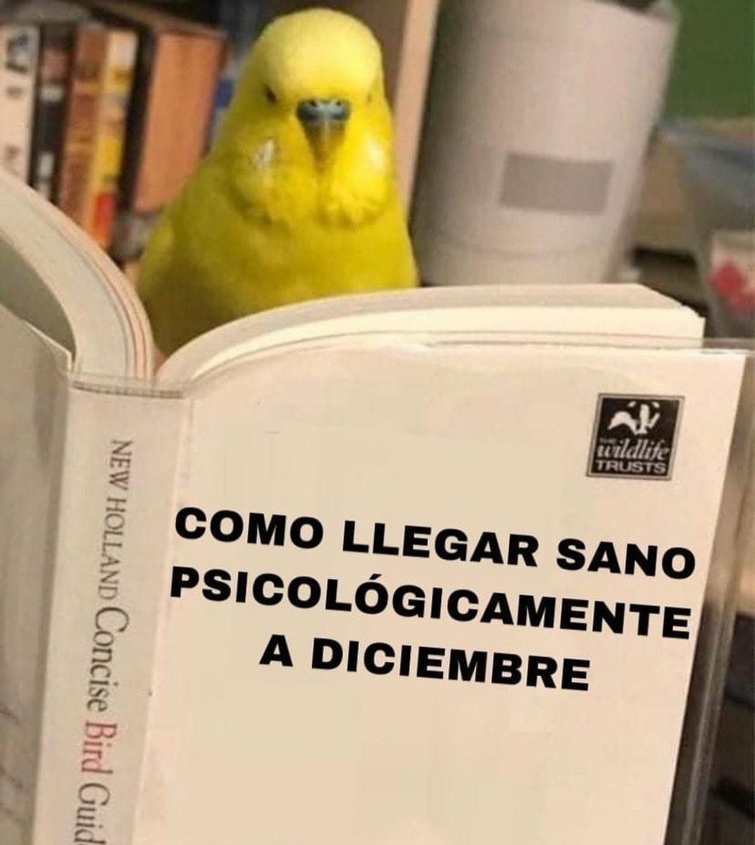 MalditaSummer's tweet photo. Mood https://t.co/mQDttqvu3t