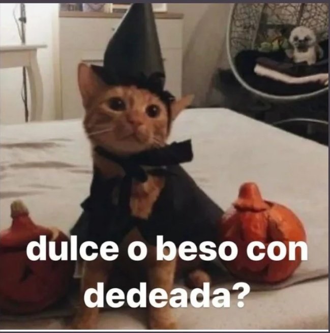 Me encantar&iacute;a contarle muchas puti historias  o puti an&eacute;cdotas  Pero la realidad es que no tengo muchas