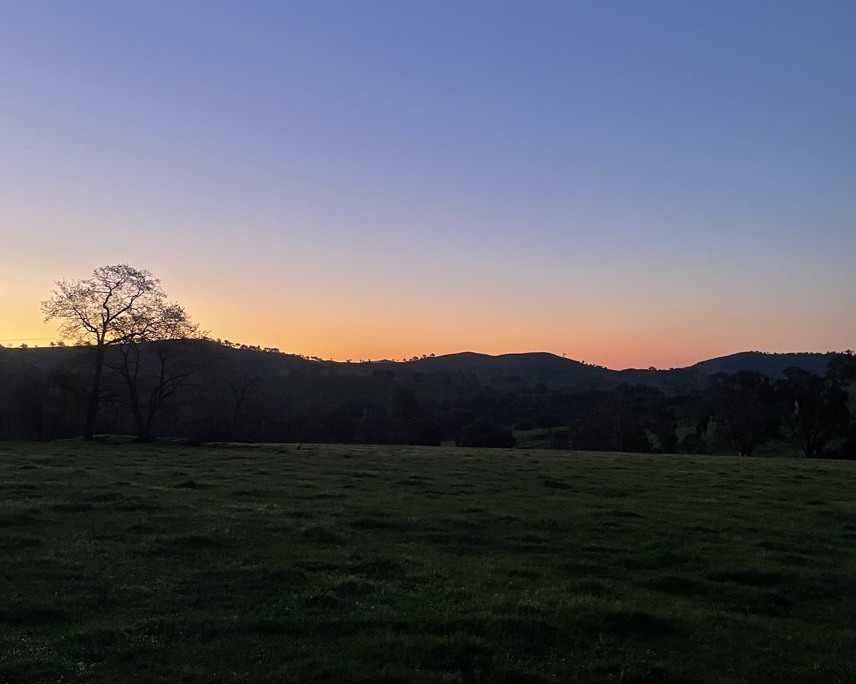 Adrian (@adrianzanardo) on Twitter photo 