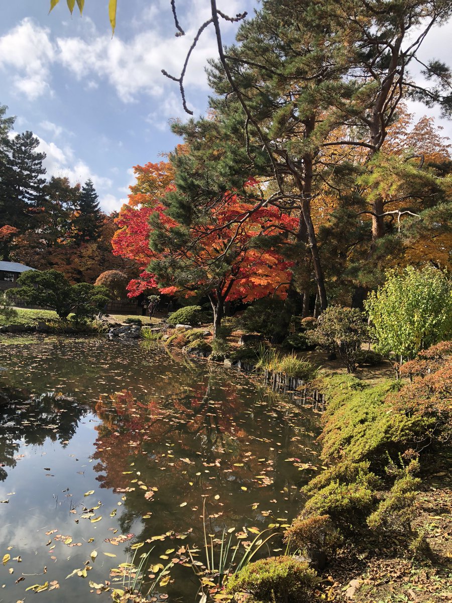 kikusui2022's tweet photo. 中島公園 https://t.co/f6jr89FkTt