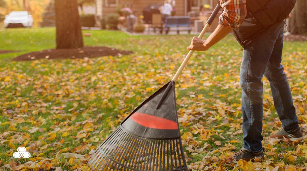 tim_pruitt's tweet photo. Happy fall, neighbors! Here's a great checklist to get your home cold-weather ready from the inside out:
https://t.co/r3q6M1K8tn https://t.co/3T7KybFB24