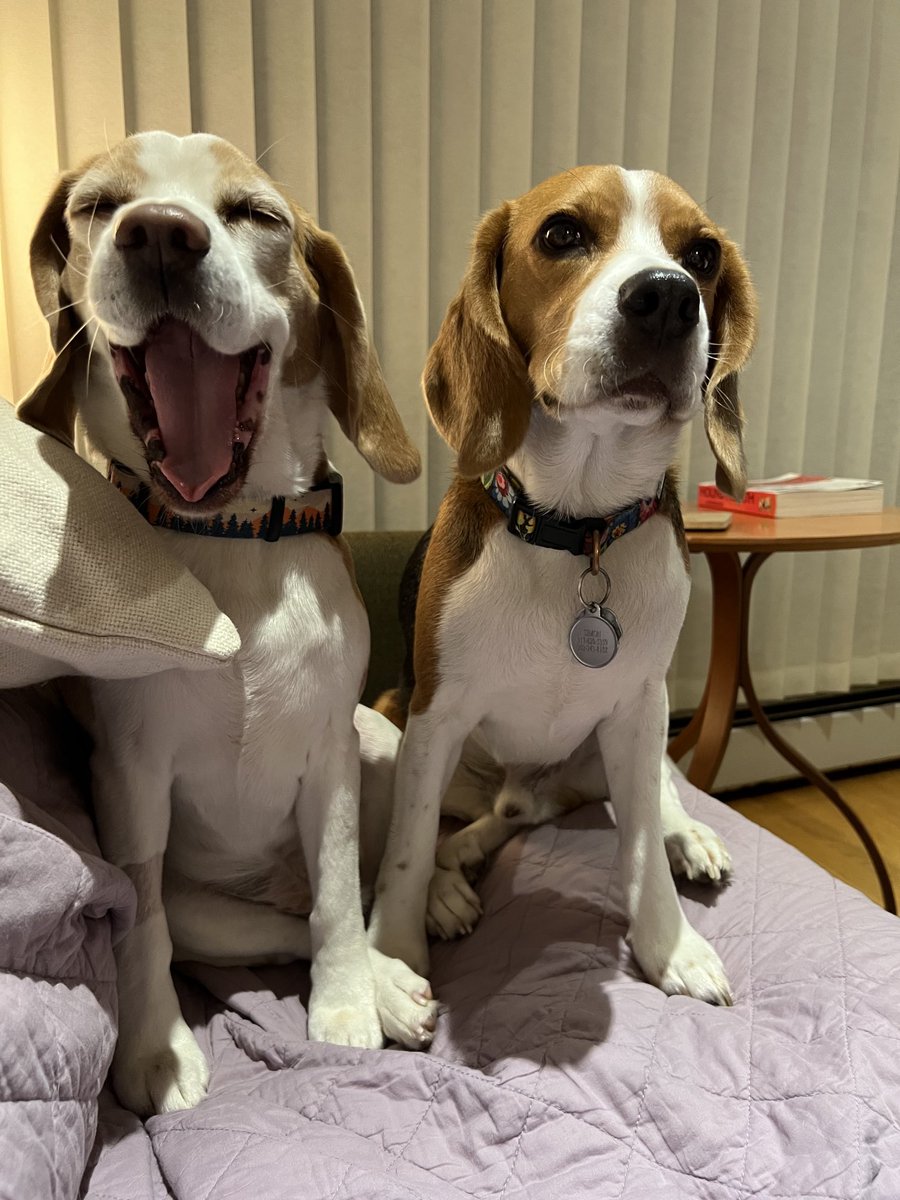 Oh Simon, you never get my jokes!