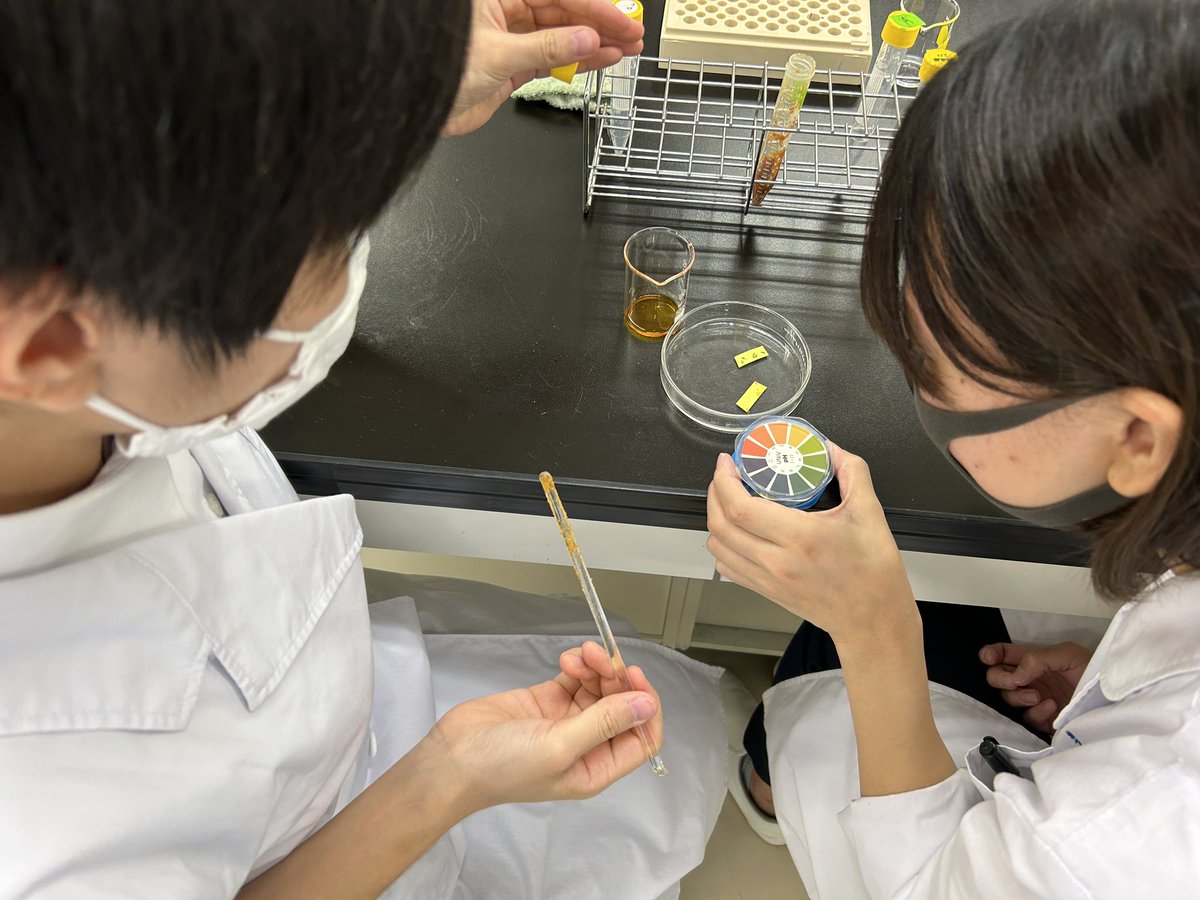 TTCbio's tweet image. 今日のバイオ科２年生は？

食品分析実習！

一味からカプサイシンを抽出し、
HPLCで分析しまーす

ただいま有機溶媒で溶解中

#HPLC
