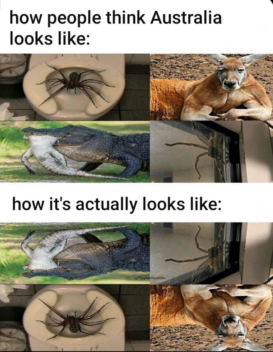 NO CONTEXT HUMANS (@humansnocontext) on Twitter photo 