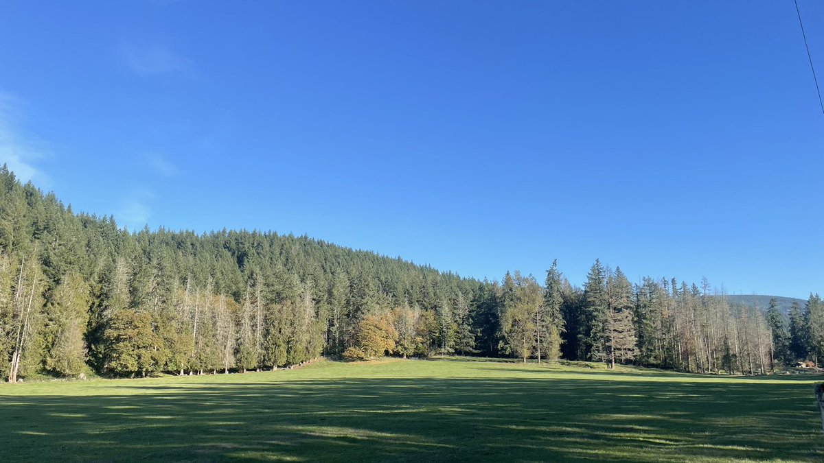 Jeff Patterson tweet media