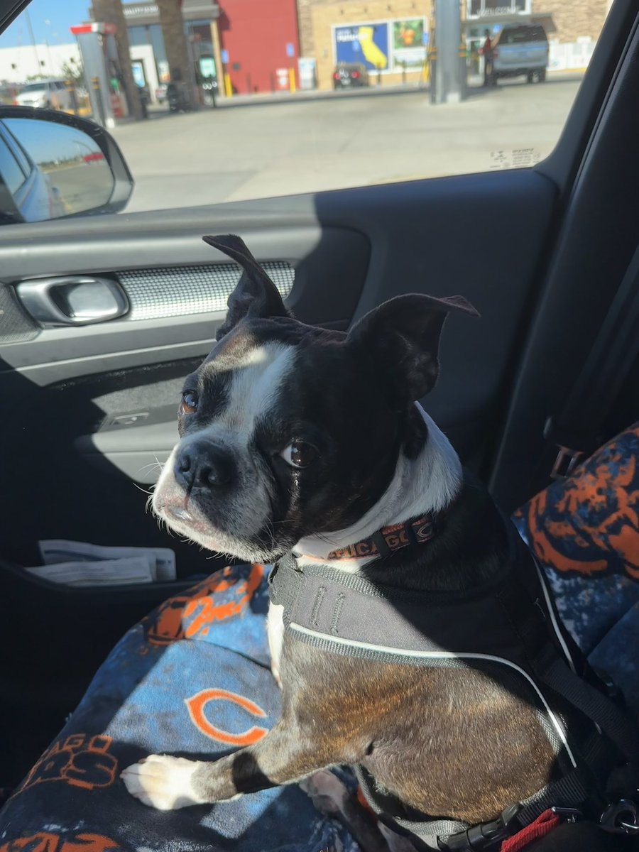 It’s official, After 45 years, I  am no longer a Nor Cal resident. Headed to my new home in Sunny So Cal. Got my boy Murphy as my Co-pilot today. Funny thing, today just happens to be my 26th CHILISVERSARY as well. Never would have dreamed this is were I’d be.#Blessed #Chililove