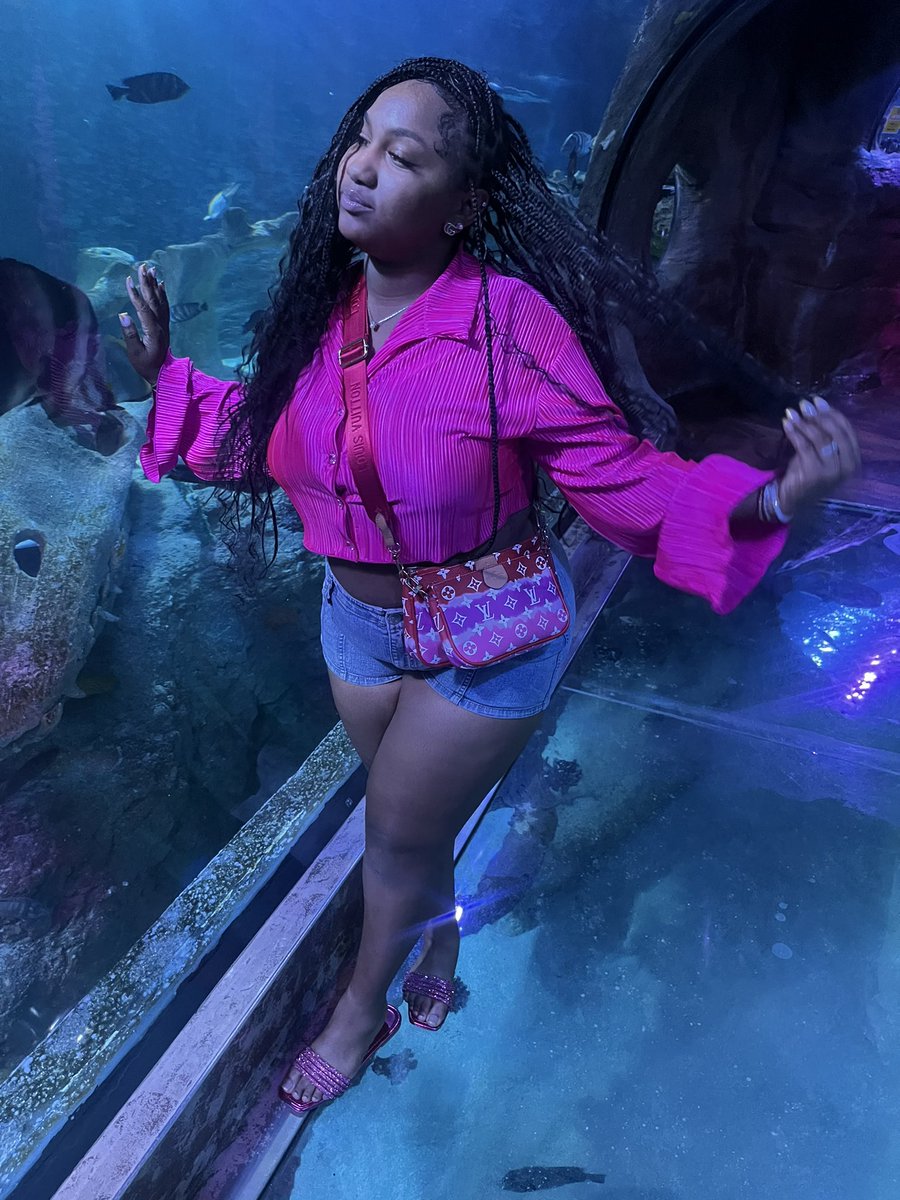 11_02__'s tweet photo. She just stuck in Houstonatlantavegass 💗 https://t.co/BfZR5JP0J3