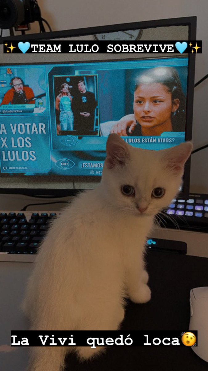 xoxo_rush's tweet photo. Hola tío Michuwu @ClaudioMichaux todo es impredecible 😂😂😂 #GranHermanoCHV #TeamLulo https://t.co/XT2wbIJwb1