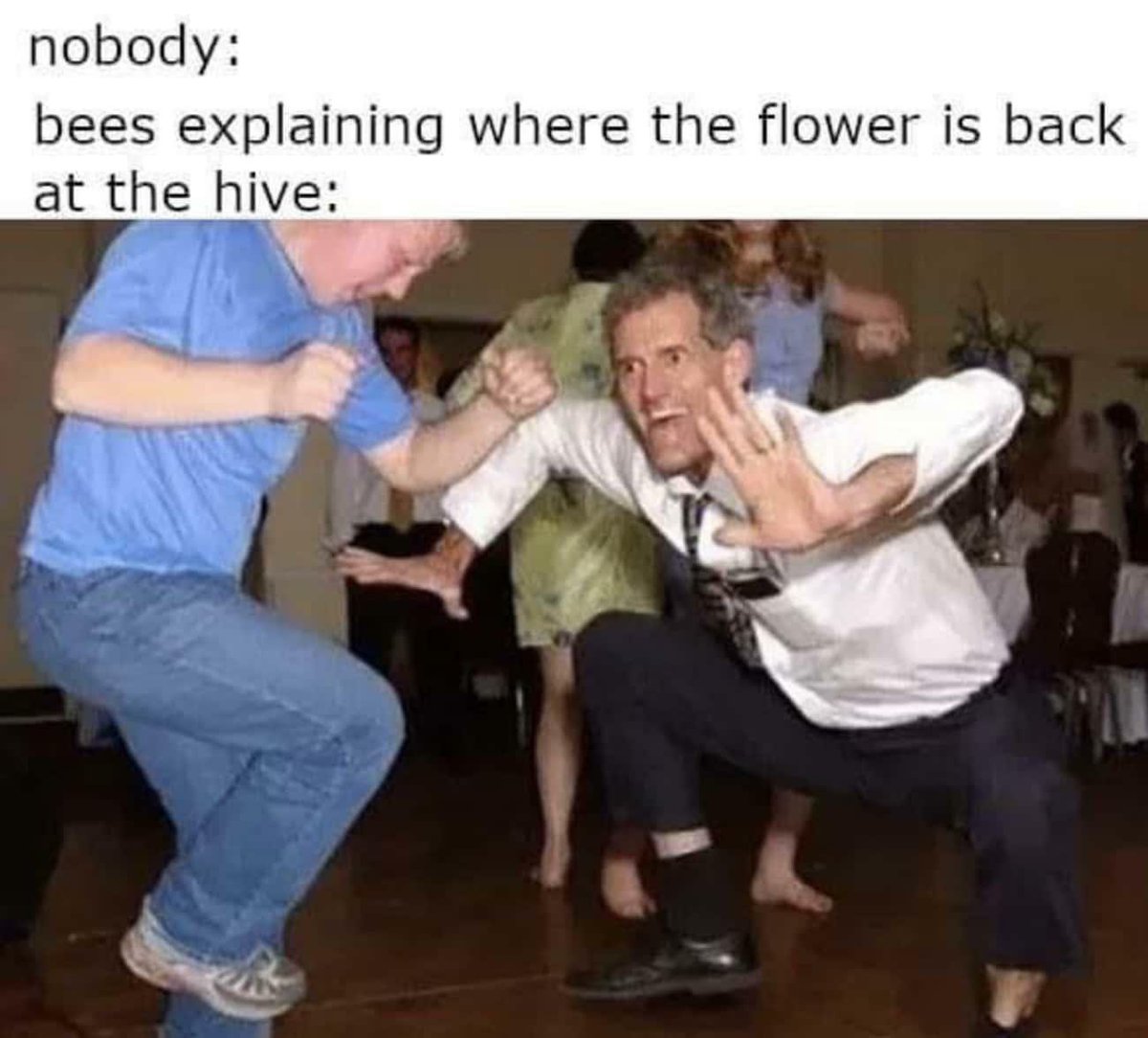 the ambiguous duck tweet media