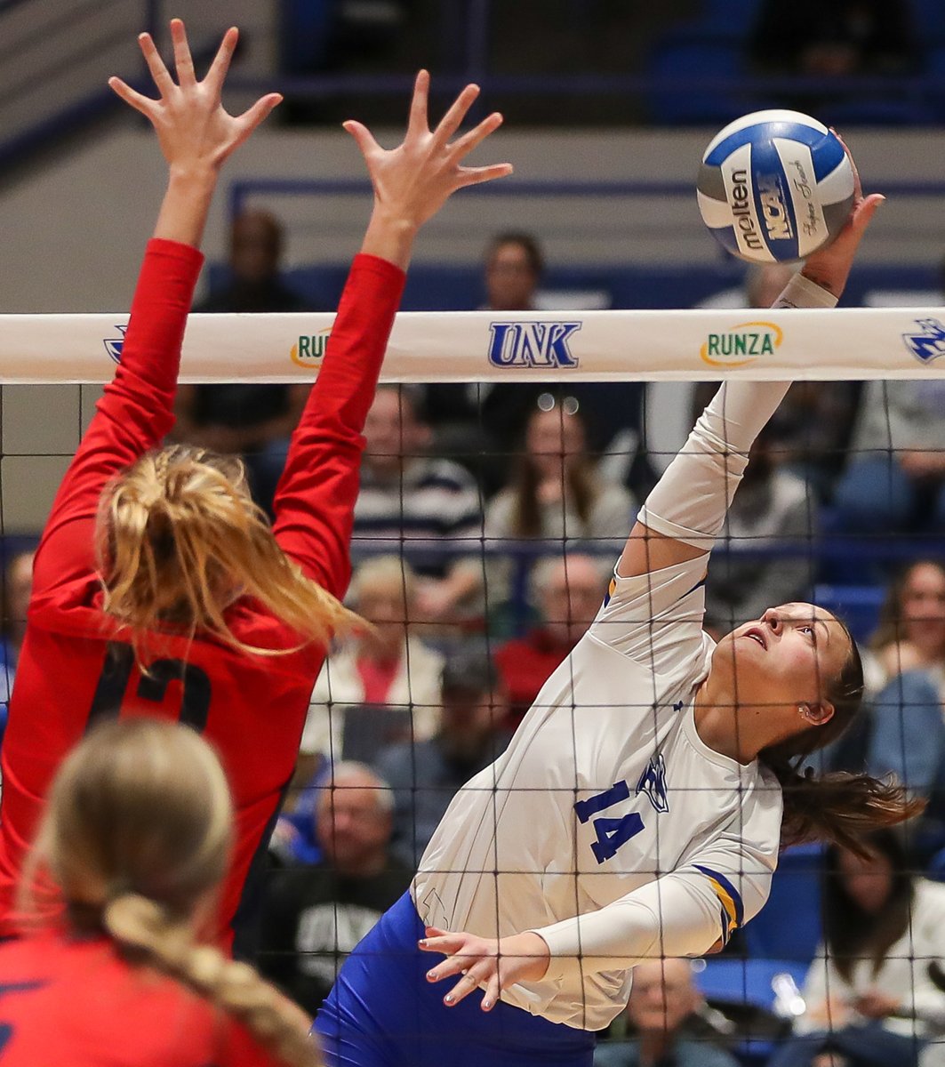 Todd Gottula tweet media