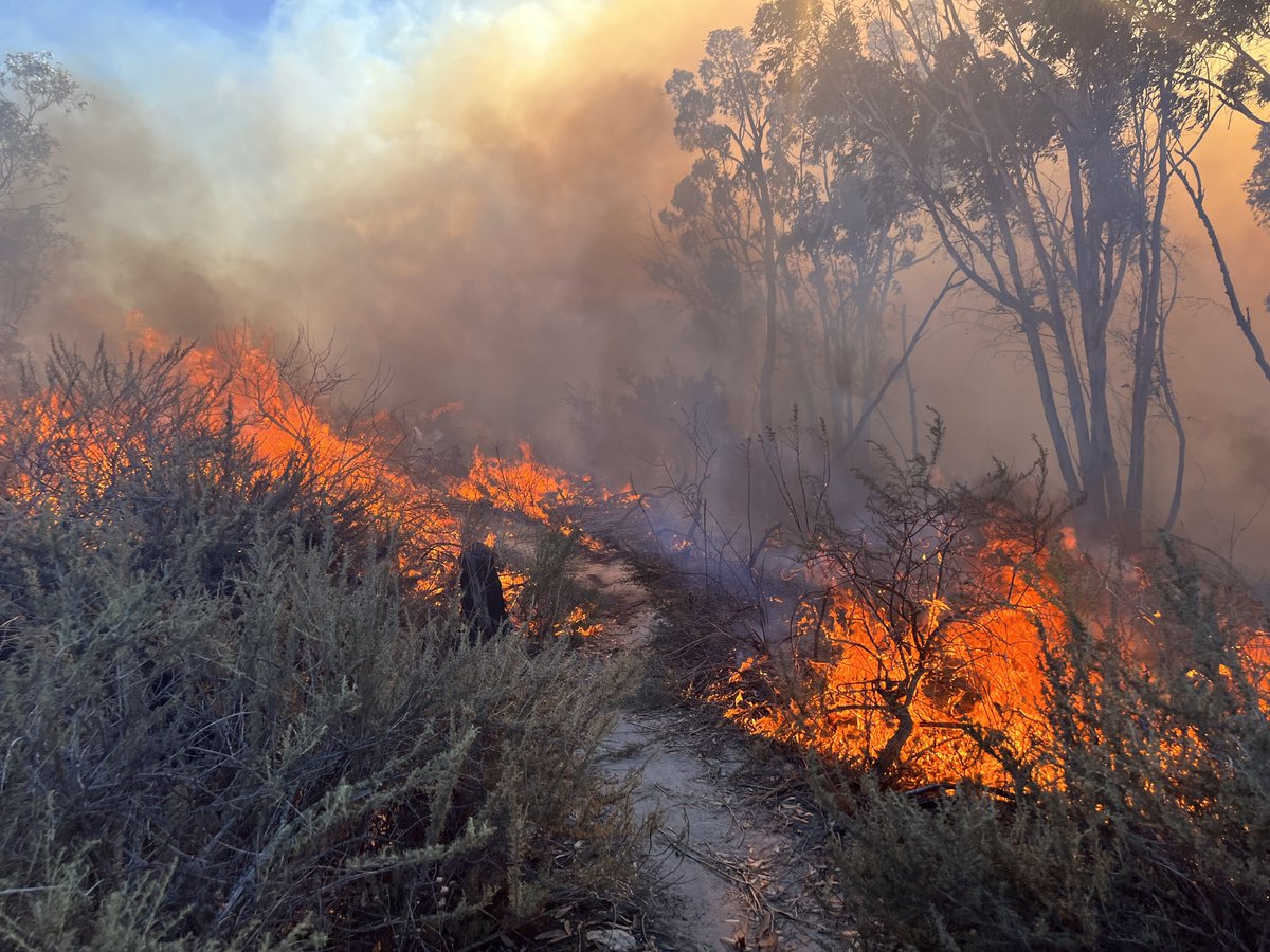 DandyYankeeDoo's tweet photo. Lake Forest Sports Park Fire, Lake Forest, CA https://t.co/mNZa2FIJx8