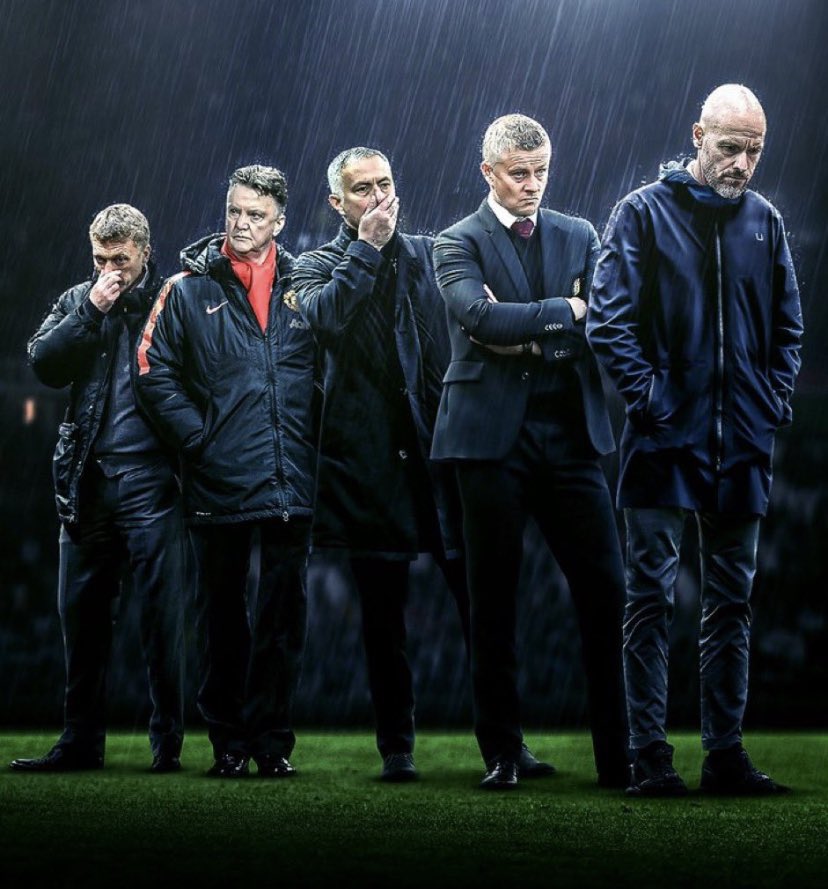 Terry Flewers tweet media