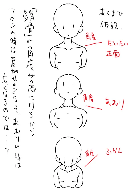 あくまでも仮説メモ。なんで自分、首が埋もれてる絵がヘタクソなんだろうと考えて、自分なりに納得できそうな仮説。鎖骨の角度を調整することによって必然的に肩幅も逆算で導き出せるのでは…?ってやつ。そうすればちょっと違和感減るかも。まだ正面だけしか試してないけど斜めも対応できるかは謎。