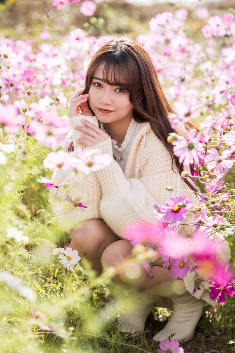 mstm0409's tweet photo. モデル：宮本 はな🍀さん ( @HANA_MYMT2019 ) 

 #コスモス #秋桜
 #ポートレート 
 #写真好きな人と繋がりたい https://t.co/RgWGYiFYwc