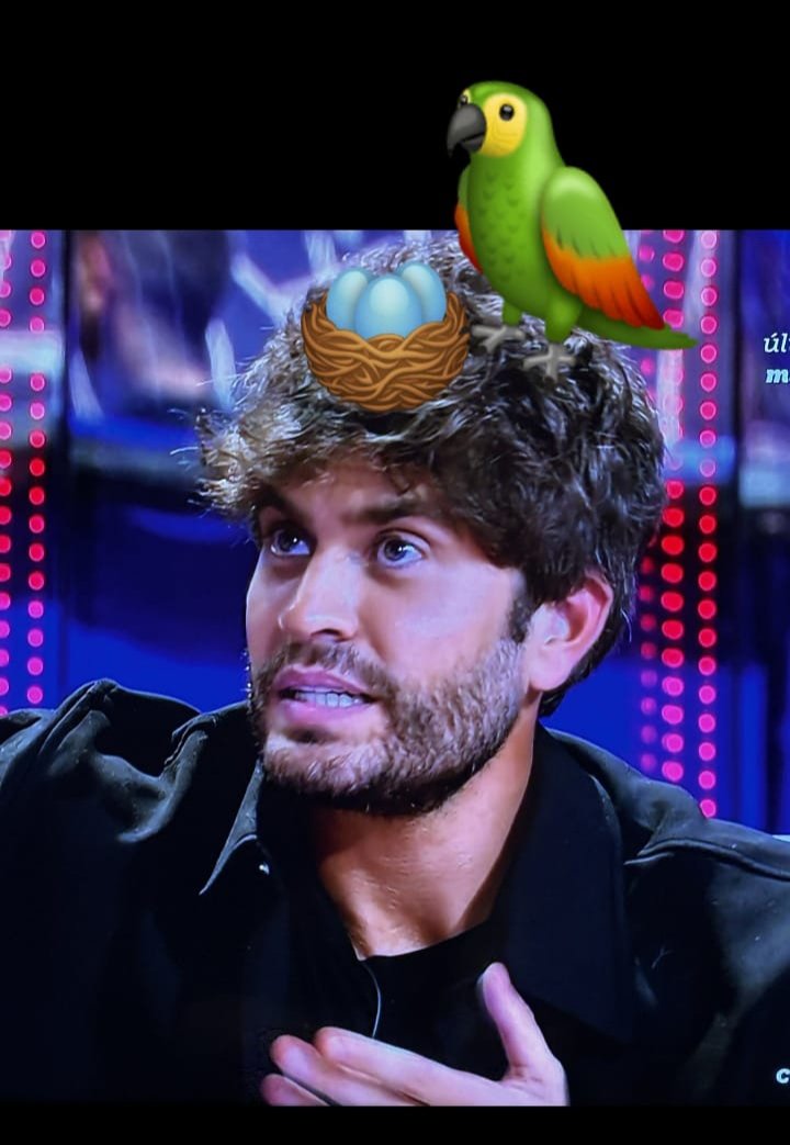 rohtermeyer's tweet image. 😅
#GHVIP290 #GHVIPDBT7