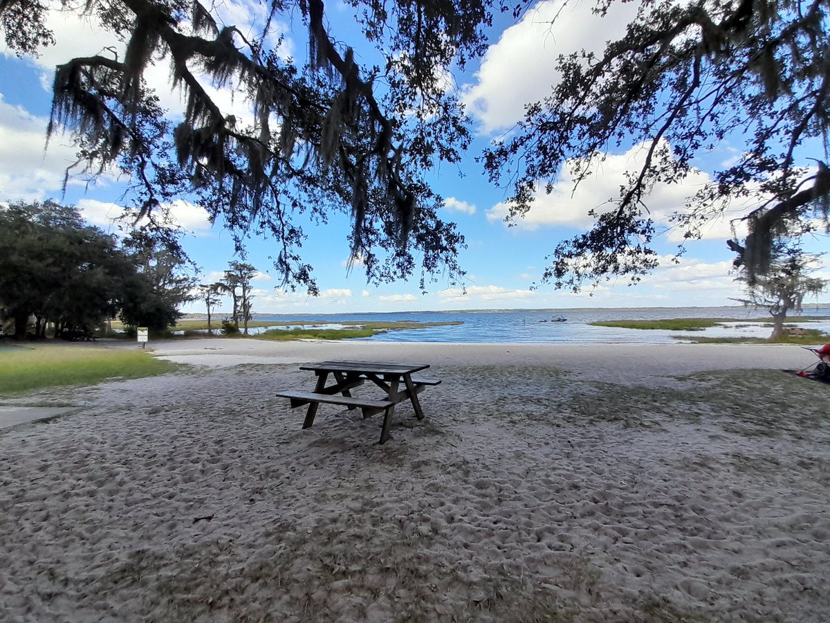 Jayne Dudley tweet media