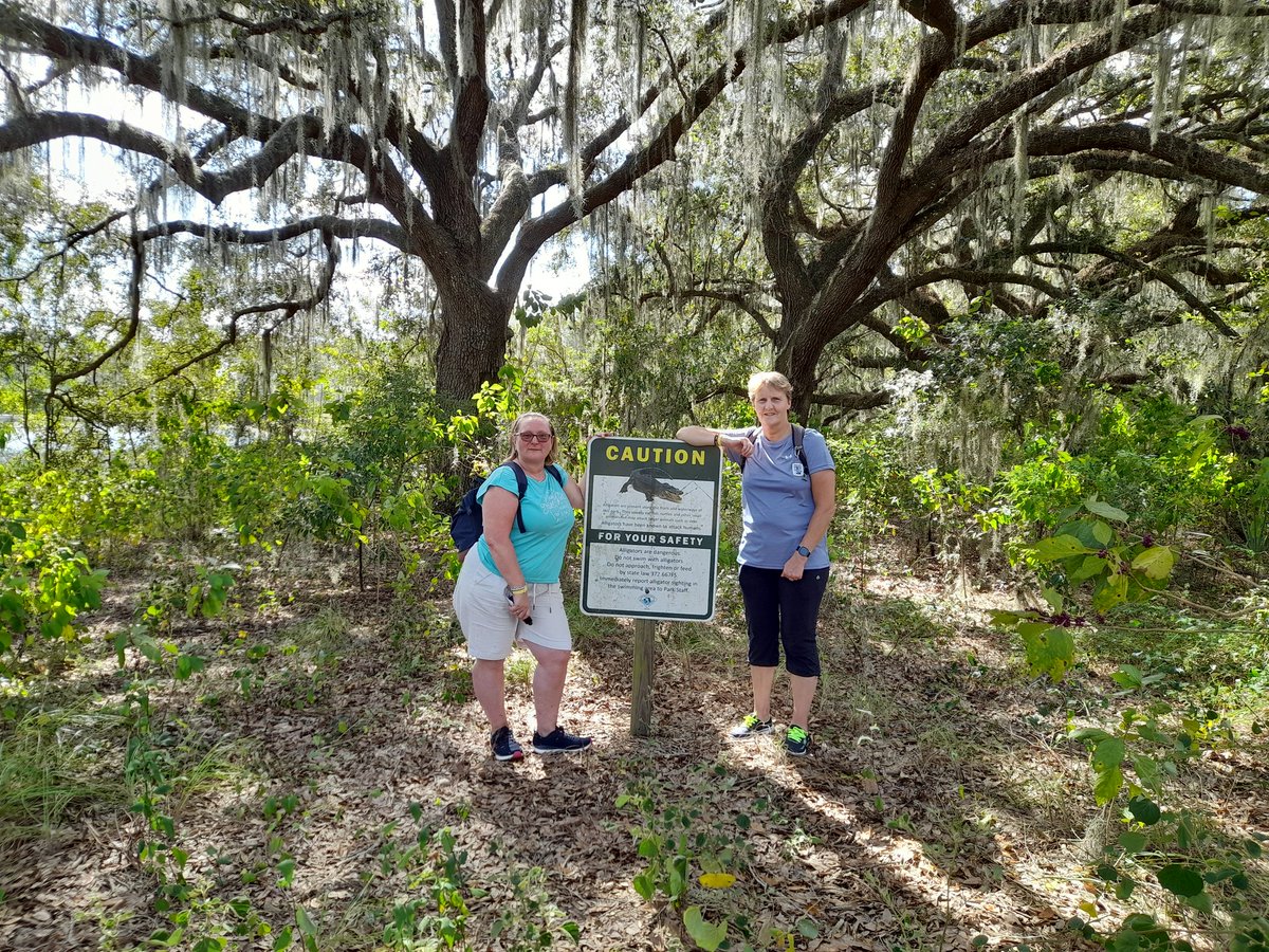 Jayne Dudley tweet media