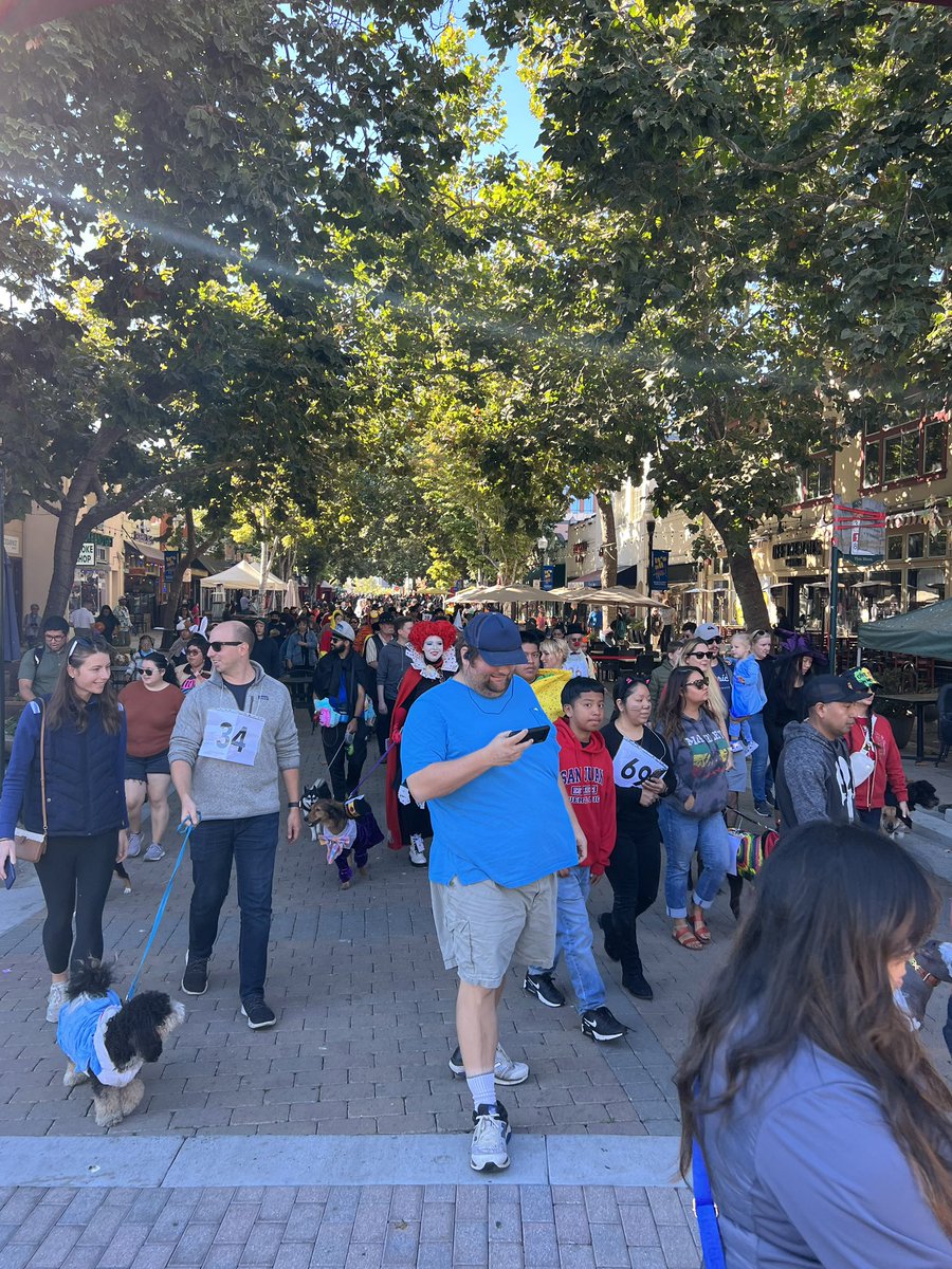 SunnyvaleDPS's tweet photo. What a howling great time at this year’s Sunnyvale Pet Parade! The parade participants we spoke to gave it a 4 paws up! https://t.co/mmzIXzxjrs