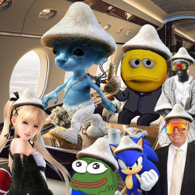 aimhreem's tweet image. #skrrt #smurf