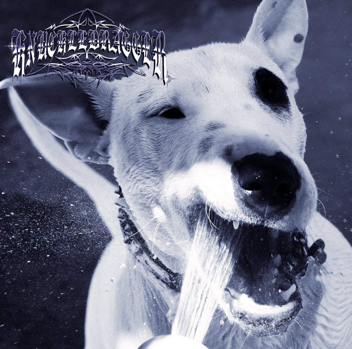 burninghammerr's tweet photo. Knuckledragger’s debut LP ‘Different Breed…’ is out now on all streaming platforms

Check it out and grab yours at https://t.co/qOxt2Y74Aw

614 https://t.co/yIWxx7quW2