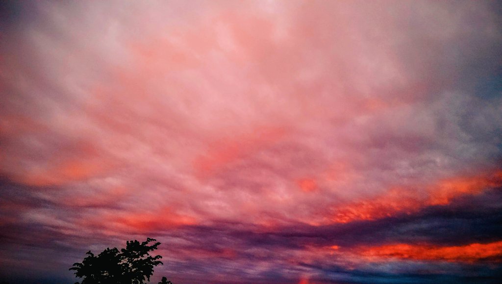 Nature has a natural art. Colorful sunset cloud's 🧡🌥️🎨
#colourfulclouds #naturesart #sunsetphotography #sunset #Artiseverywhere #vibrant #colours #photo #artistic #cloudcolours #England #UK