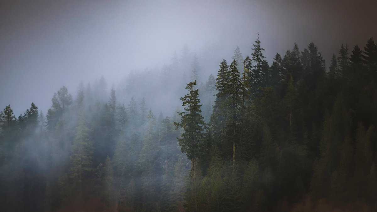 Winter days in Washington