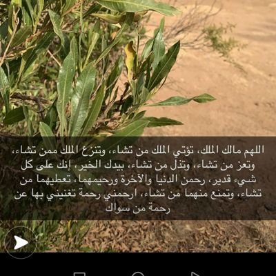 alma d gonsalez tweet media