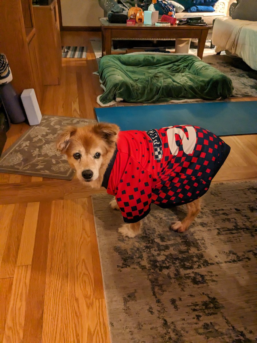 lsmalls7's tweet photo. Go City!!! This family is ready for some playoff soccer ⚽ tonight @stlCITYsc #AllForCITY @Purina 🐶😺😺👩🏽🧔🏽 https://t.co/VXkUOUMIDm