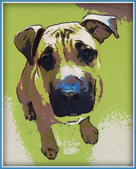 sevgi bulut tweet media