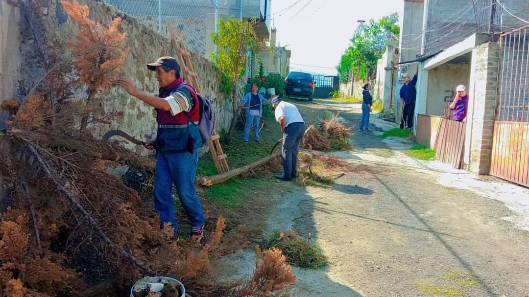 PC_MilpaAlta's tweet photo. ¡No paramos!
El personal de Participación Ciudadana en Milpa Alta junto con los vecinos de la calle Tepeticpac Bo.Xochitepec en San Antonio Tecomitl llevaron a cabo el #TequioBienestar habilitando el libre paso peatonal y mejorando el aspecto de la vialidad. https://t.co/q7TM1PUB3h