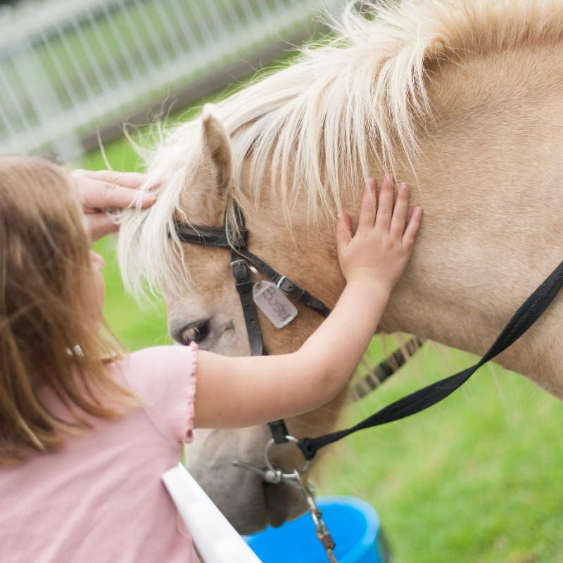 aus_turf_club's tweet photo. 🦅 It's Golden Eagle week and there is plenty on for everyone! It’s going to be an exciting day, with Sydney’s best food trucks, loads of entertainment, rides, jumping castles, petting zoo, pony rides, fairy floss and gelato.

Kids entry is FREE 🙌