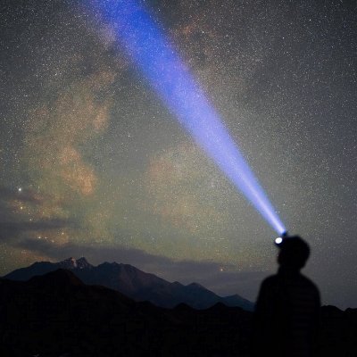 Marna Fergusson tweet media