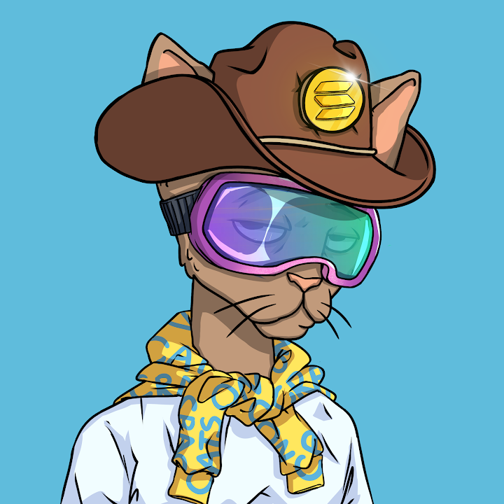 Megan Lynn tweet media