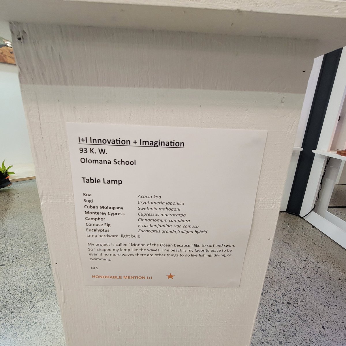 Also, congrats to K.W.!  He got honorable mention for his table lamp!  Beautiful!  #woodworking #hawaiiwoodworking #raisingrazorbacks