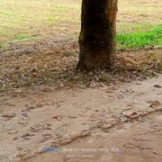 AlbertOo tweet media