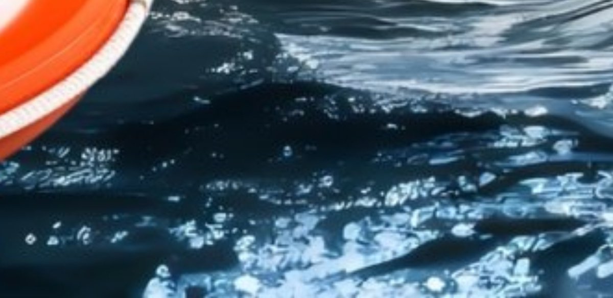 F the MSM tweet media