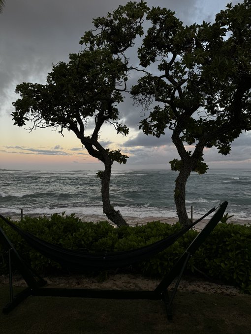 birthday vybz 🌹💋 https://t.co/hiFu5OLyZ6