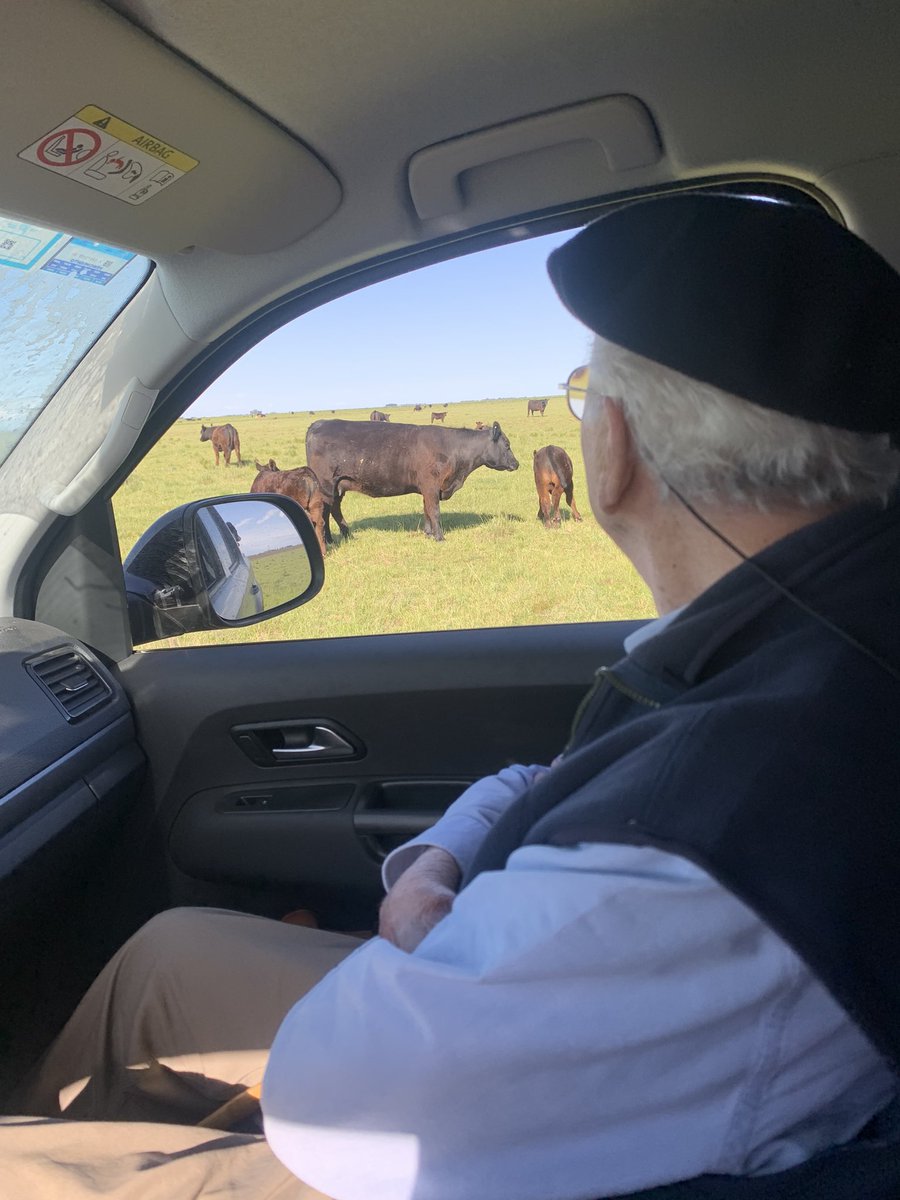 msaintandre's tweet photo. Domingo de  recorrida en La Querencia con el patrón https://t.co/Ifo1UmOcyn