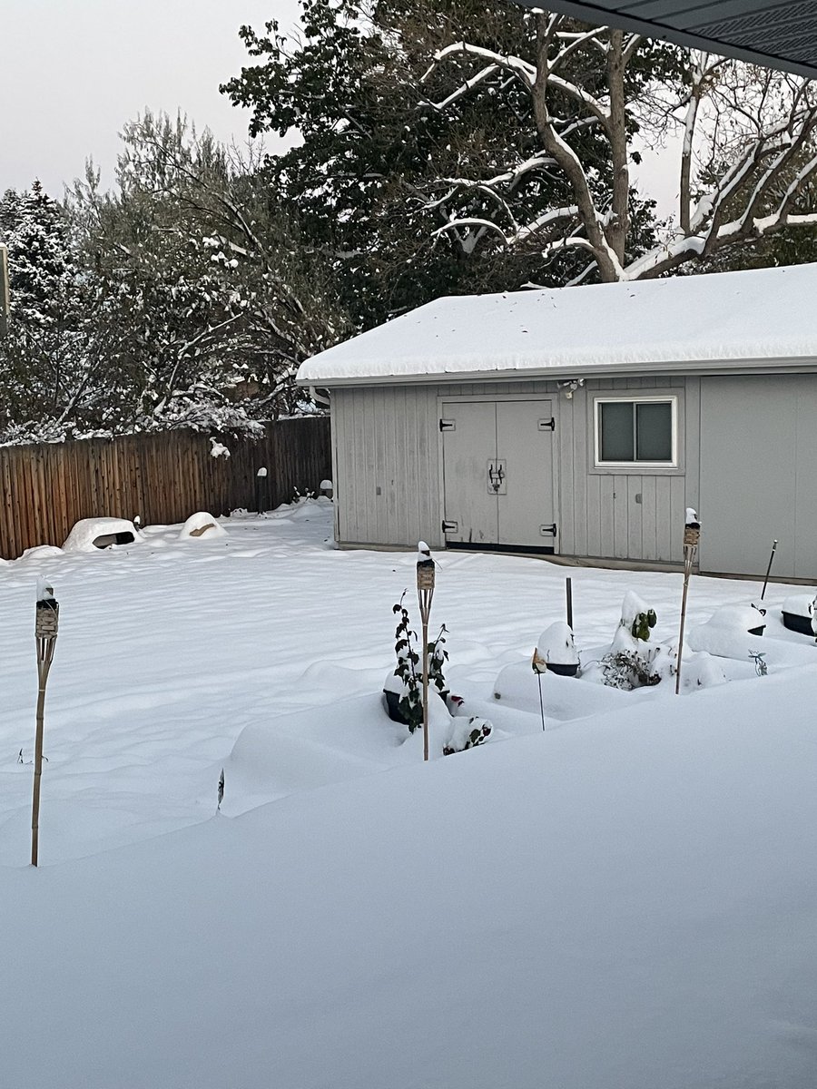 FieroFun's tweet image. I don’t remember ordering snow🙈🤷‍♀️ #colorado #winter #funfiero