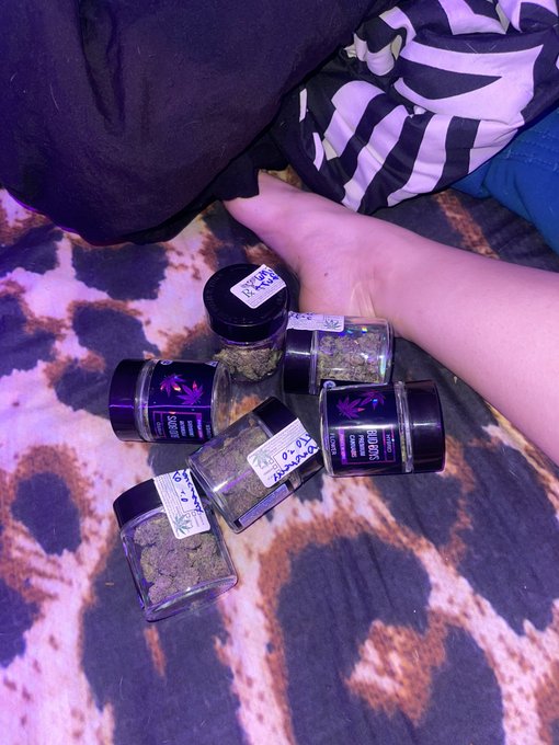 the dispensary I always order from just surprised me w a free OZ of all my favorite strains 🥺💕 https://t<a href="/tag/pantyhose"class="tags"><span>#pantyhose</span></a>