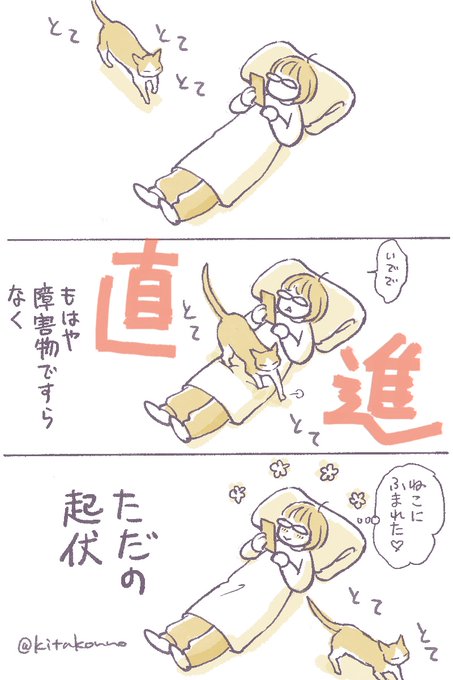 猫に雑に扱われる喜び🐾 