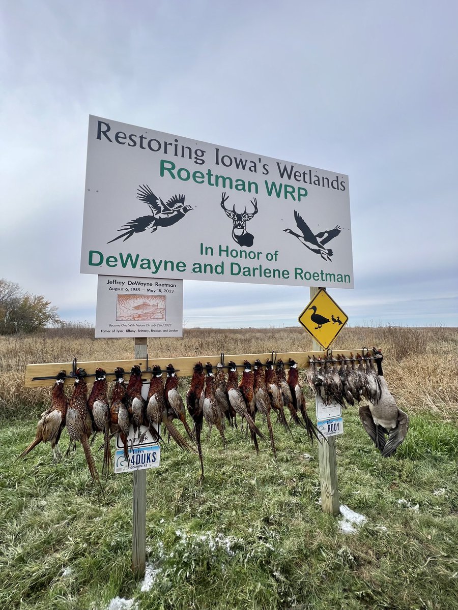 What a second day of opener.   Waterfowl in the morning and roosters in the afternoon. Owning and managing a WRP site is an awesome way of life!   ⁦<a href="/iowadnr/">Iowa DNR</a>⁩ ⁦<a href="/pheasants4ever/">Pheasants Forever</a>⁩ ⁦<a href="/DucksUnlimited/">Ducks Unlimited</a>⁩