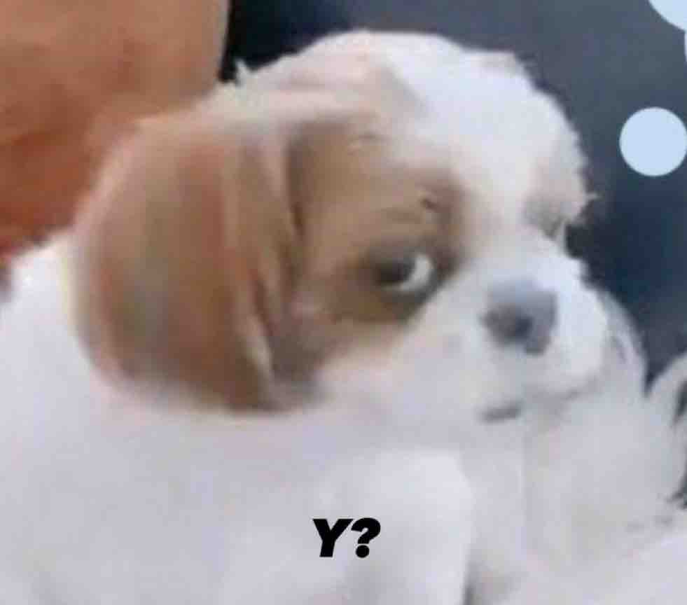 Guarromantico_'s tweet photo. Cuando estoy de mal humor y alguien me cuenta algo. https://t.co/8FkxqiSnRf