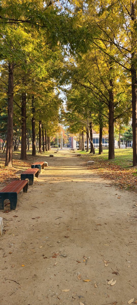 successgiver's tweet image. 아침 운동을 마치는 길 끝엔 도서관이 있다 오후 일정이 여유로운 날엔 운동 후
도서관에서 1시간 독서로 하루를 시작한다
기분좋은 변화다
#weeklyroutine